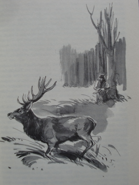 DER BOCK AUF DER TENNE... - Jägerplausch und Wildererg'schichten – imaginea 2