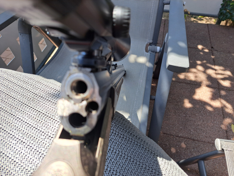 Blaser Bockdrilling 880 – imaginea 2