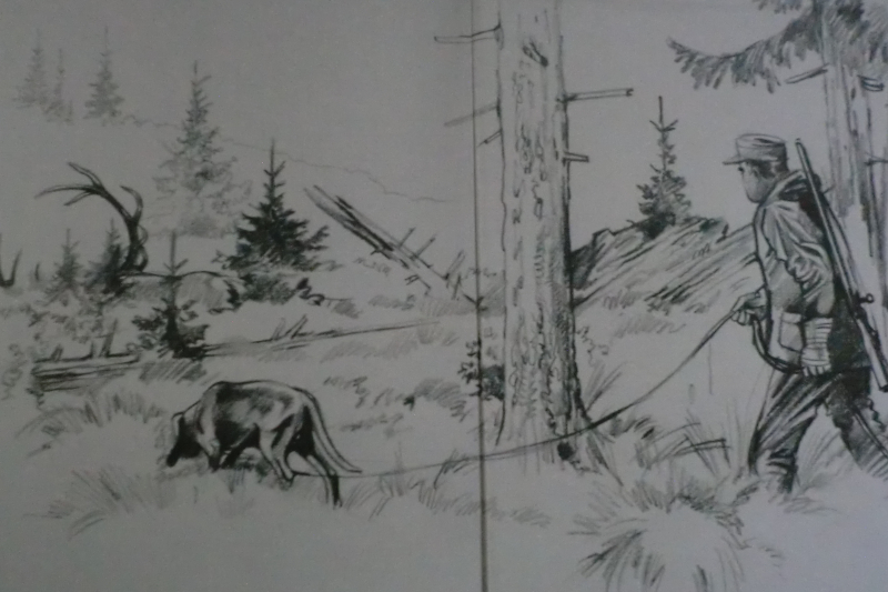 LEBEN FÜR WALD UND WILD – Bild 3