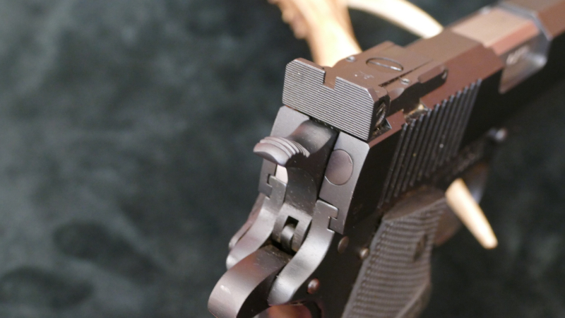Holden Custom/Springfield 1911, Kal. .45Auto, Pachmayrgriffschalen, top Zustand!! – Bild 5