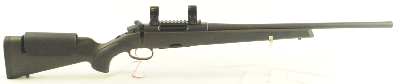 Steyr CL2 SX Goiserer ; Kal .308Win ; mit EAW Montage – Bild 1