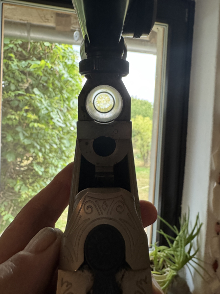 Blaser Bockbüchsflinte, 30.06, 16/70 var. Glas – imagen 4