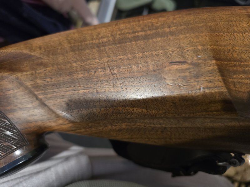 Blaser BBF 95 – Bild 1