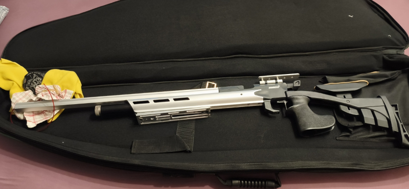 Hämmerli AR20 Pro Silber – stampa 1