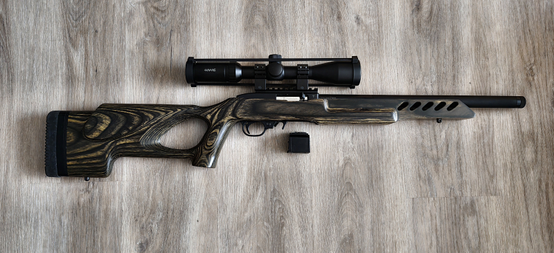 Ruger 10/22 Target .22lr – Laminat-Lochschaft & Hawke Zielfernrohr | Top Präzision – Bild 1