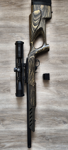 Ruger 10/22 Target .22lr – Laminat-Lochschaft & Hawke Zielfernrohr | Top Präzision – Bild 3