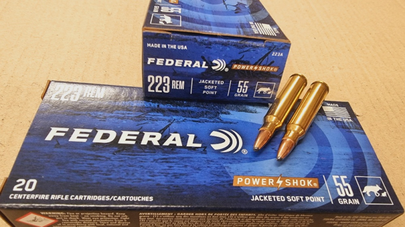 .223/55grs Power Shok Federal 20 Stk. #223A# – Bild 1
