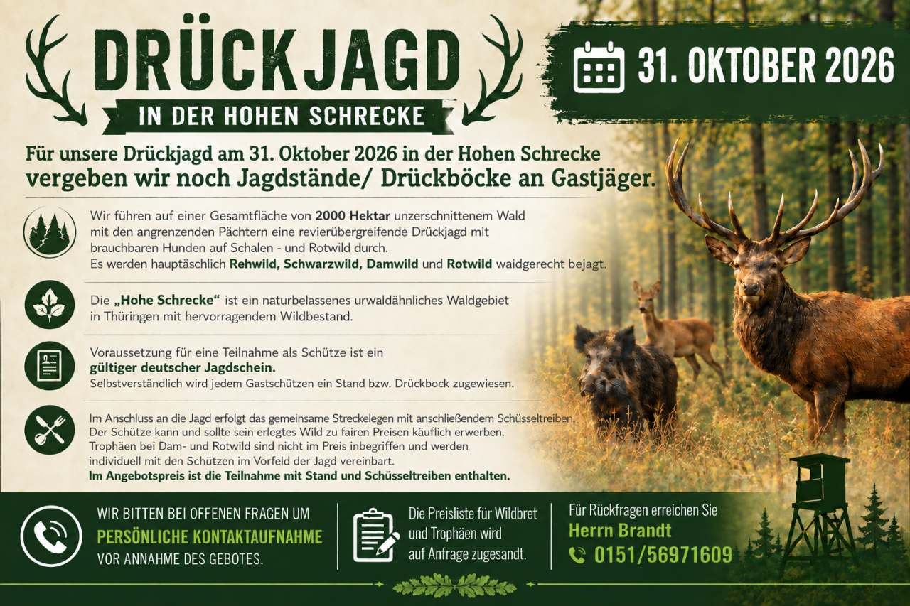 Drückjagd am 31. Oktober 2026 in der Hohen Schrecke in Thüringern – Bild 1