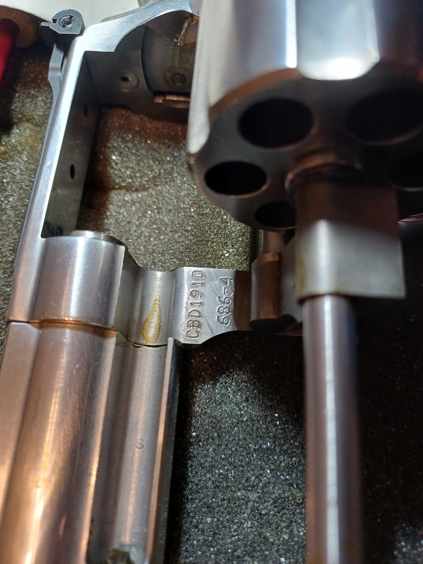 Smith & Wesson Modell 686 Champion DL – stampa 5