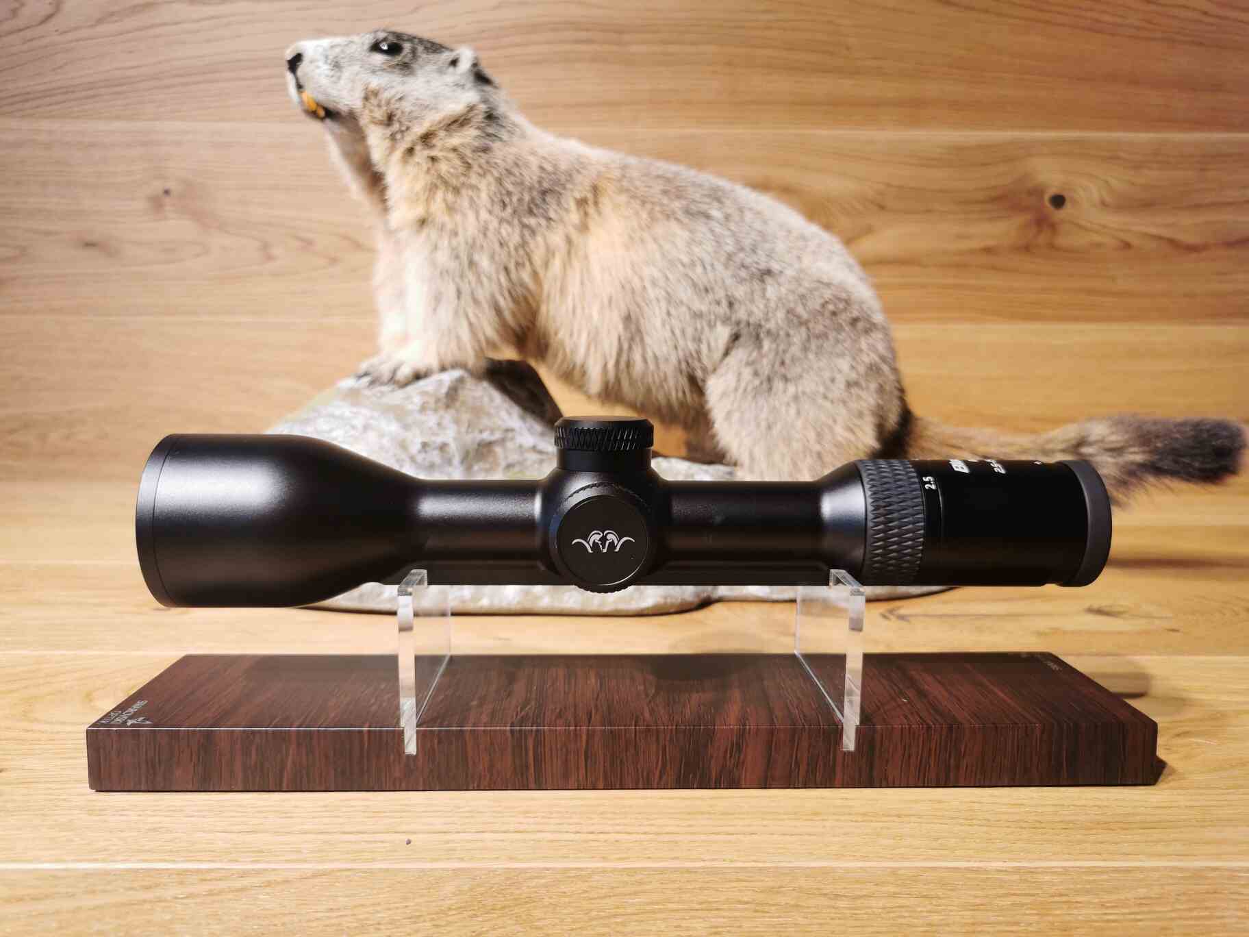 Zielfernrohr Blaser B2 2,5-15x56 iC S - Waffen Schlemmer Ingolstadt – Bild 1