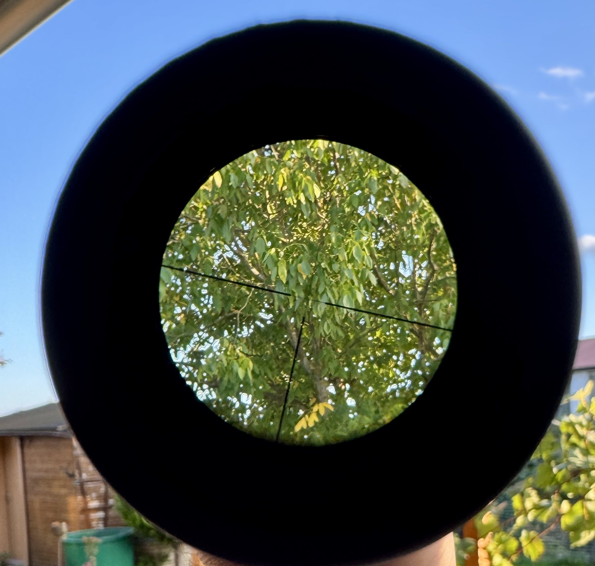 Zeiss Diavari 3-12x56 mit Schiene – stampa 6