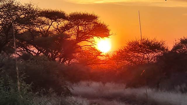 7 Tage Jagdsafari für 4 bis 6 Jäger in Südafrika – Bild 4