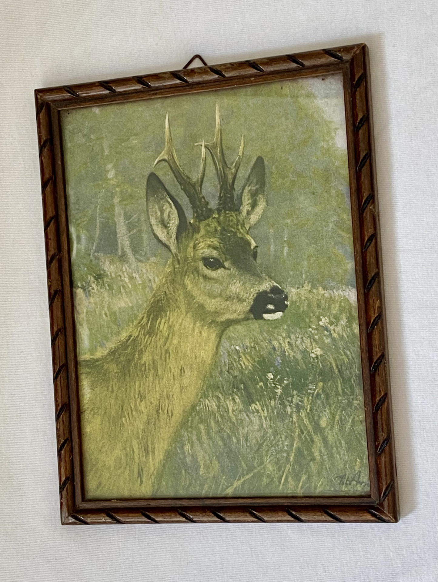 Kleines altes Jagdbild REHBOCK Porträt Kunstdruck antik – Bild 1