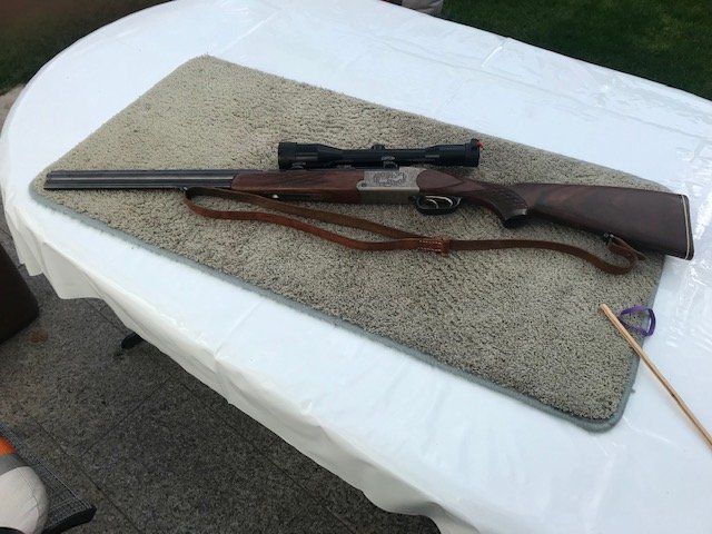 Bockbüchsflinte Blaser Modell E S67 Luxusausführung – Bild 1