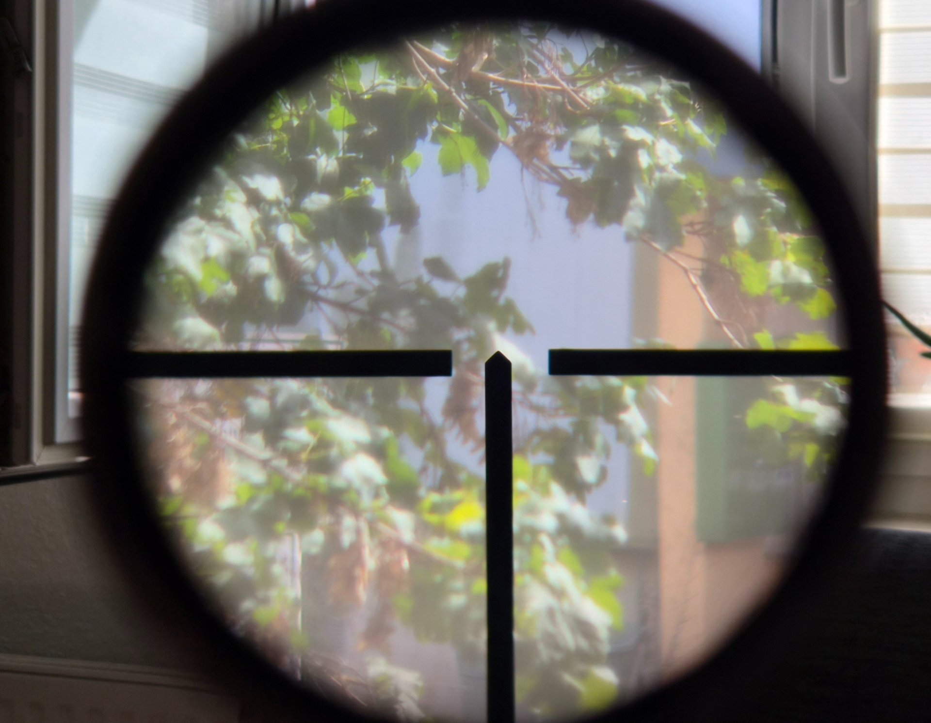 Zeiss Zielacht – Bild 6