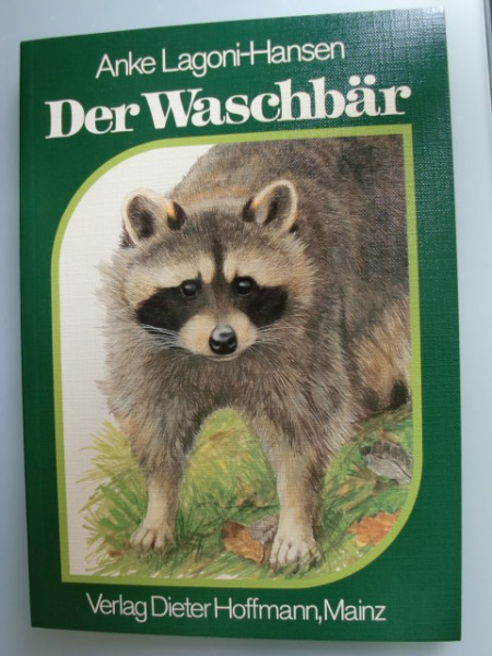 DER WASCHBÄR – Bild 1