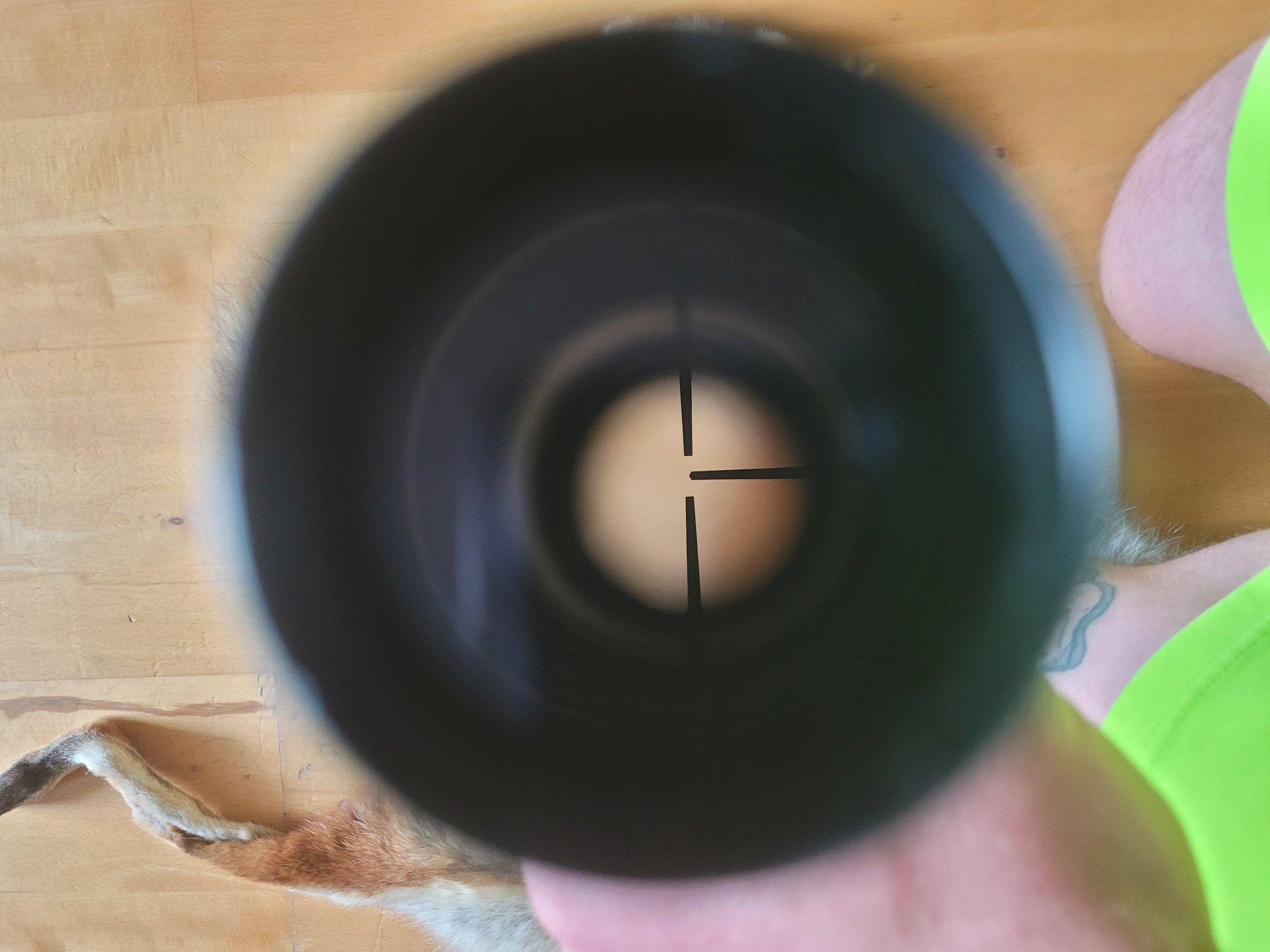 Zeiss Diavari-D 2,5-10×57 – Bild 4