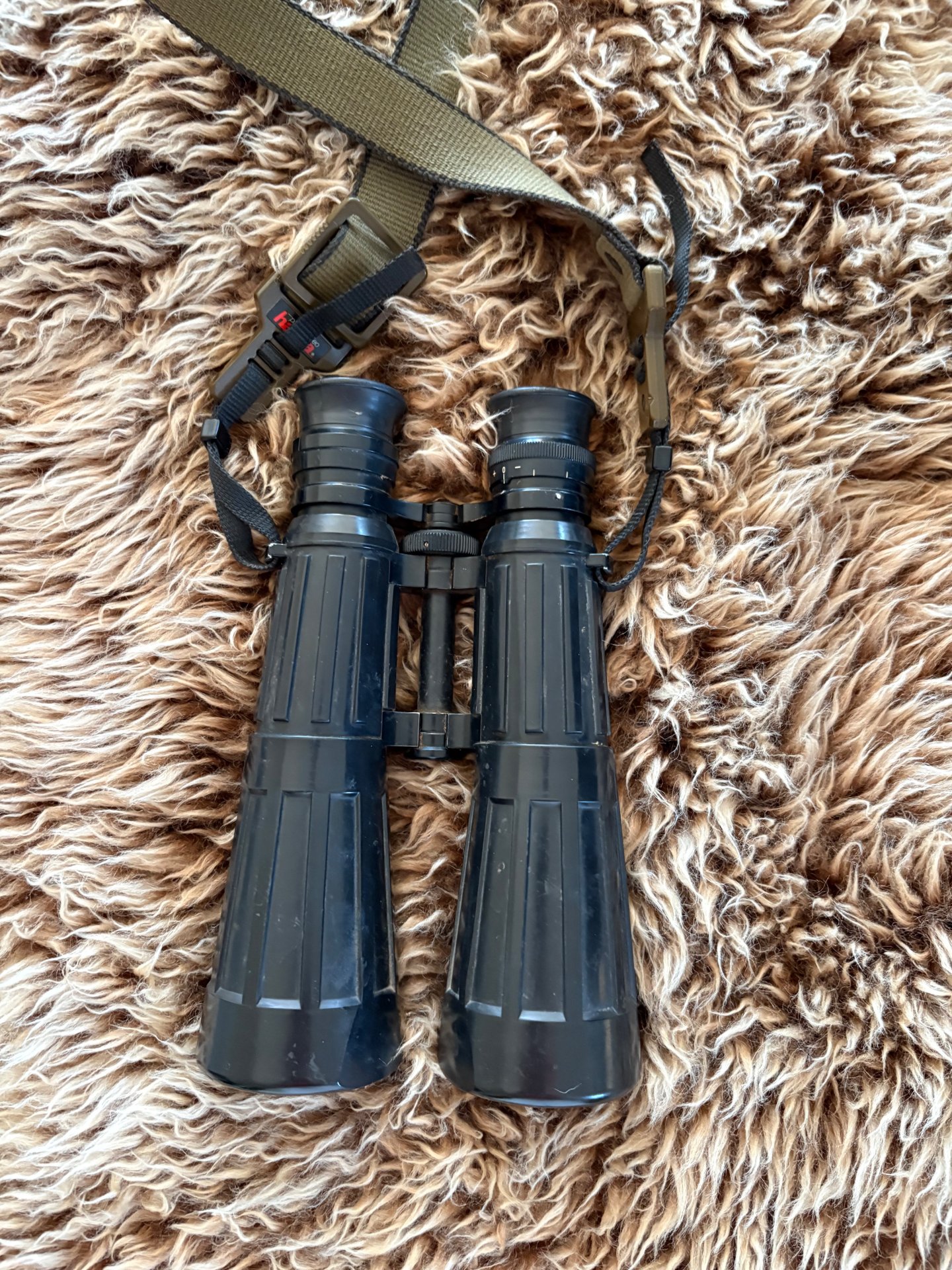 Fernglas ZEISS Dialyt 8×56 B - ein Klassiker für Jäger – Bild 1