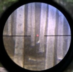Verkaufe ein Infiray CL 42 Wärmebild-Vorsatzgerät – Bild 6