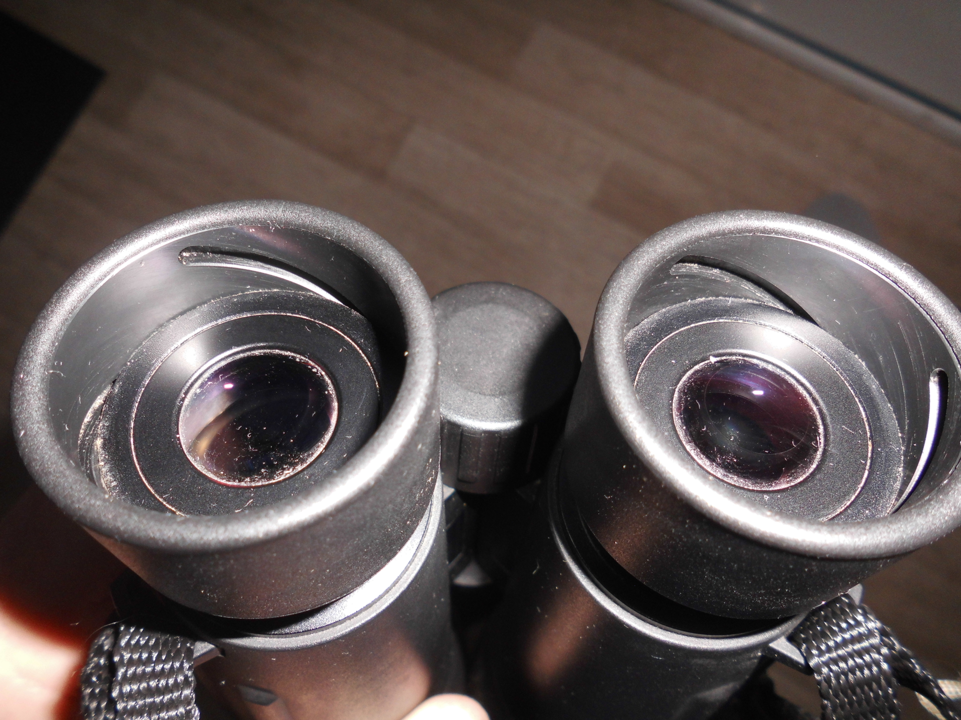 Zeiss 8x56 Conquest Fernglas Top – Bild 4