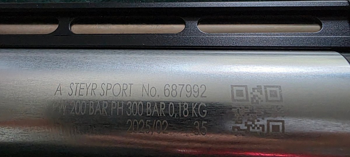 Steyr EVO 10E – Bild 4