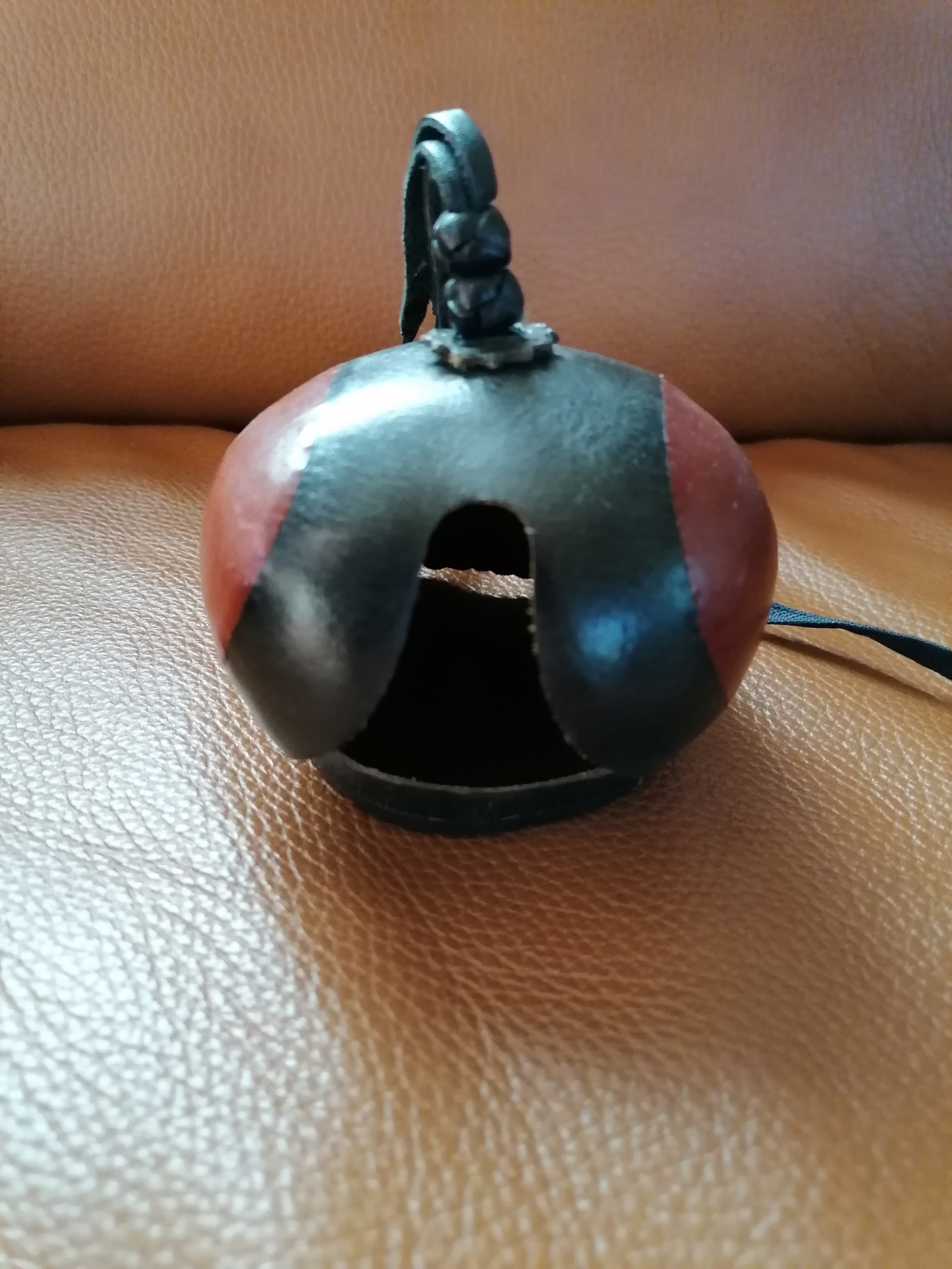 Adlerhaube Falknerei – Bild 2