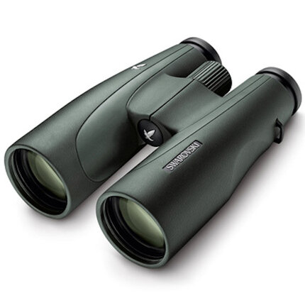 ++ ANSCHAUEN LOHNT-STATT 2.450€: SWAROVSKI SLC 8X56 WB FERNGLAS + AKTUELLES MODELL + BESTZUSTAND ++ – Bild 1