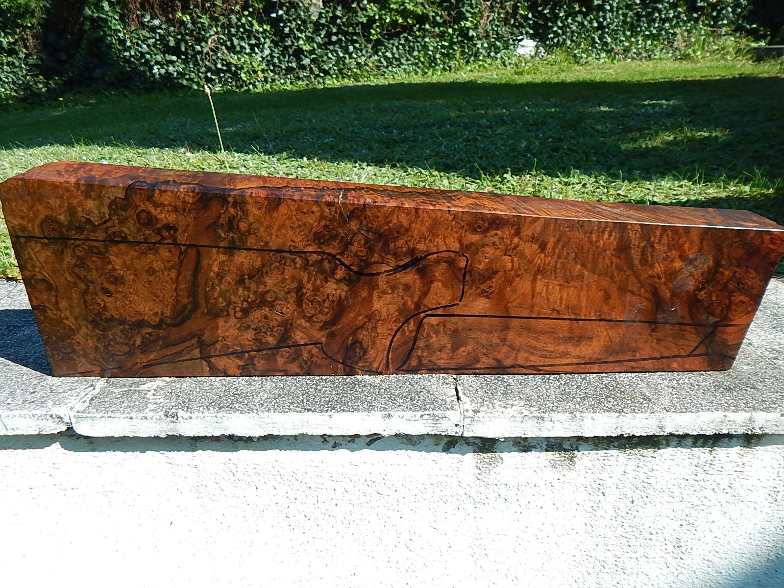 Schaftholz Vogelaugen – Bild 1