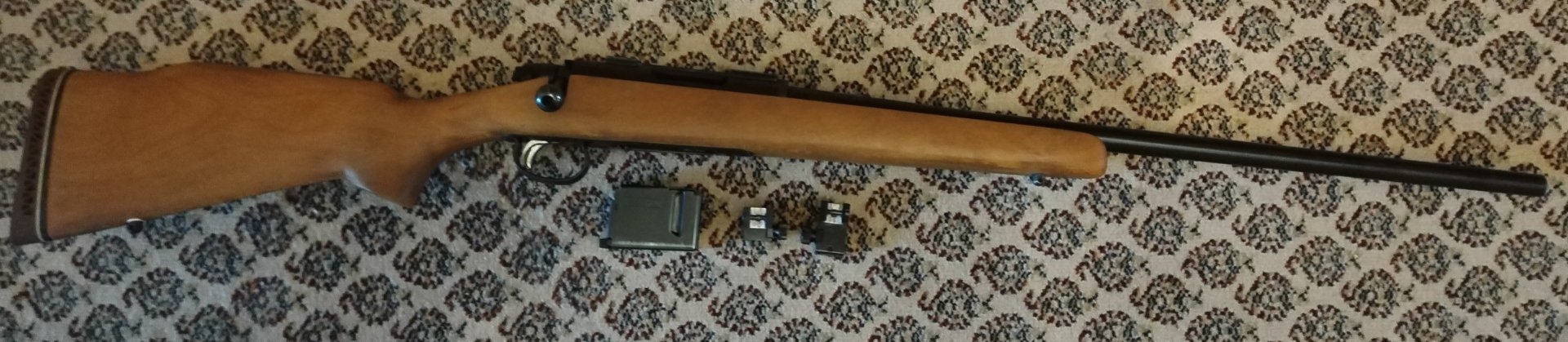 . 22-250 Remington Fuchswaffe Weitschuss – Bild 1