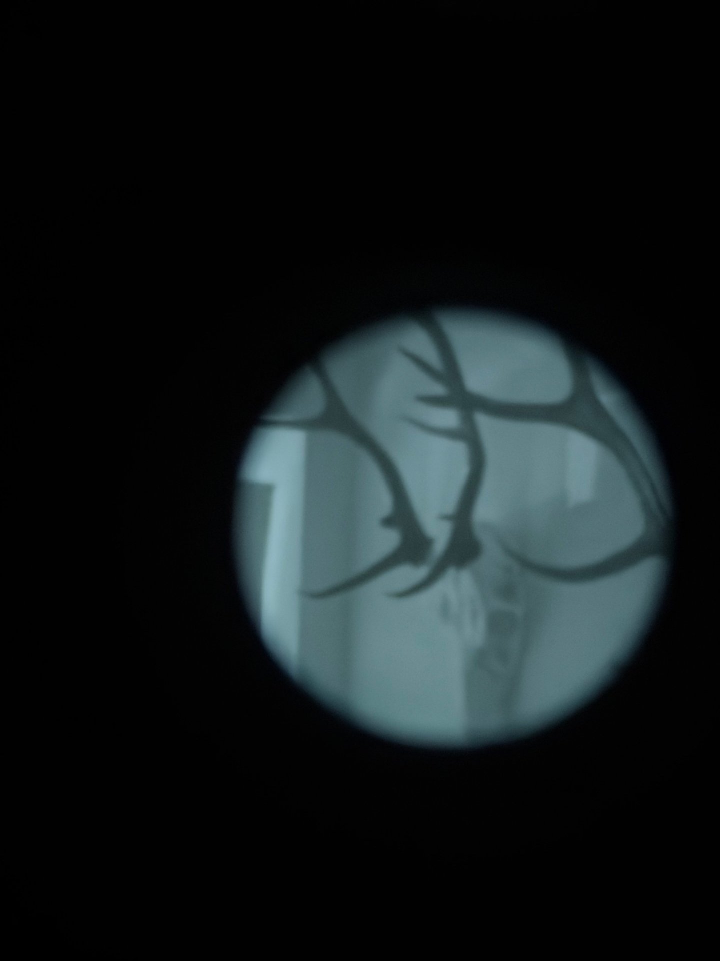 Dipol DN34 Pro Gen2+ kein Pulsar/Zeiss/Swarovski/Leica/Jahnke/Armasight/Nightlux/Rusan/Hik/Guide/D – Bild 8