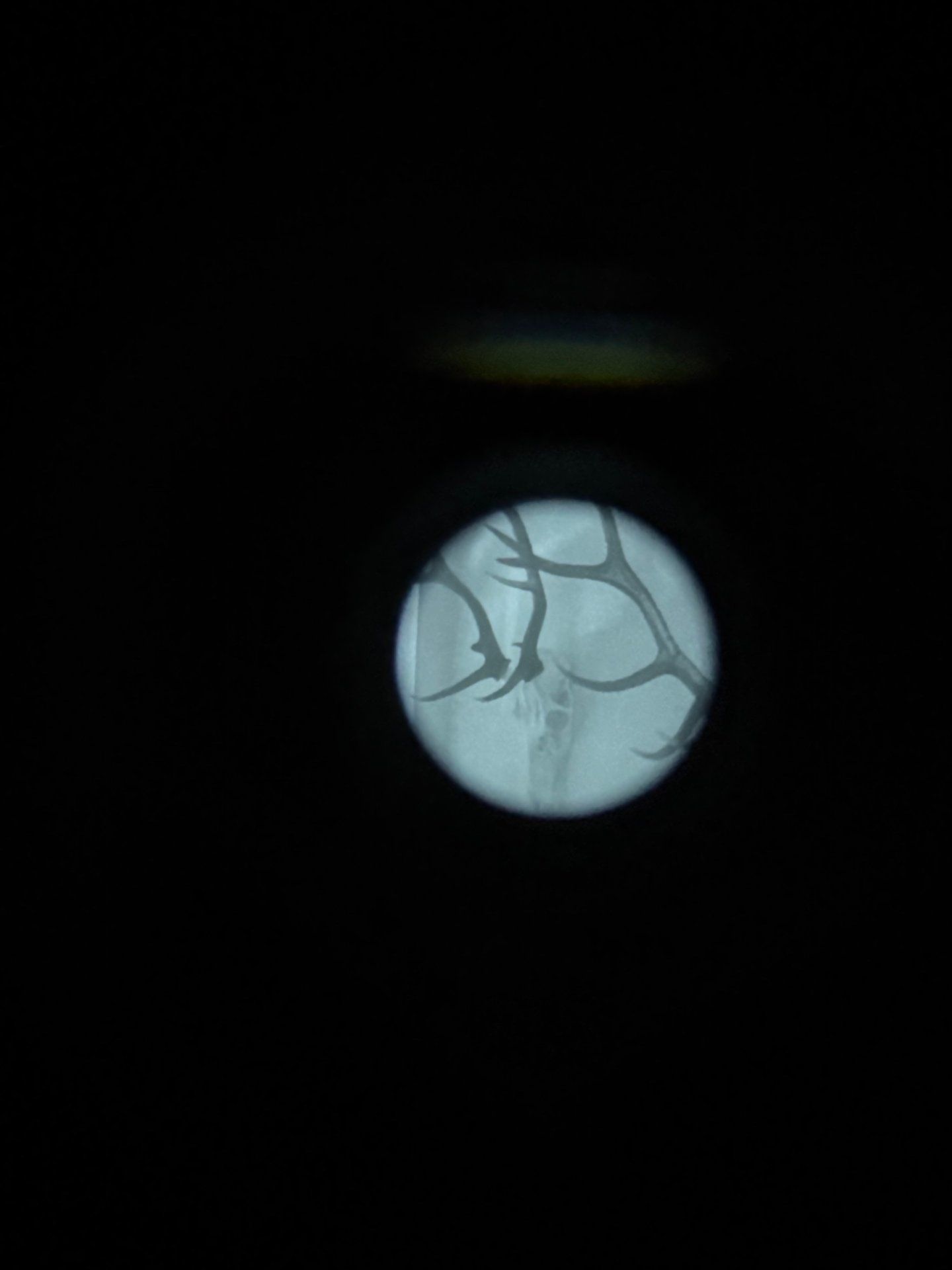 Dipol DN34 Pro Gen2+ kein Pulsar/Zeiss/Swarovski/Leica/Jahnke/Armasight/Nightlux/Rusan/Hik/Guide/D – Bild 9