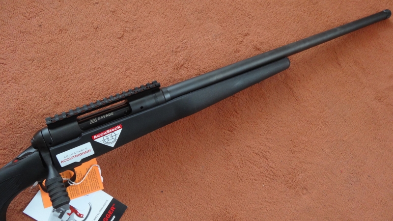 REPETIER-BÜCHSE: SAVAGE ARMS MODELL 10 TR KALIBER .308 WIN, – Bild 2