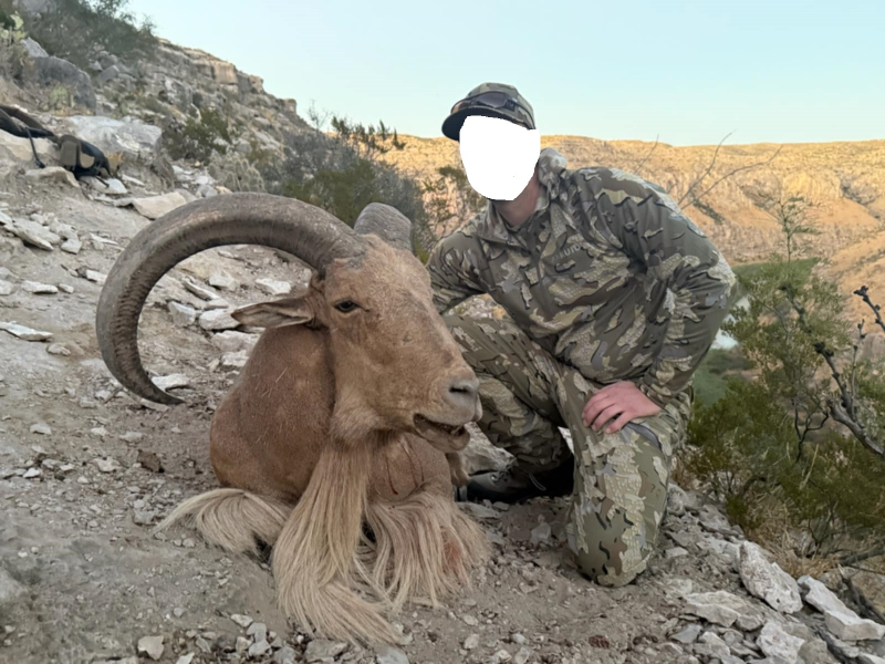Kombo-Jagd auf Auodad und Pekari-Jagd in Texas! – Bild 5