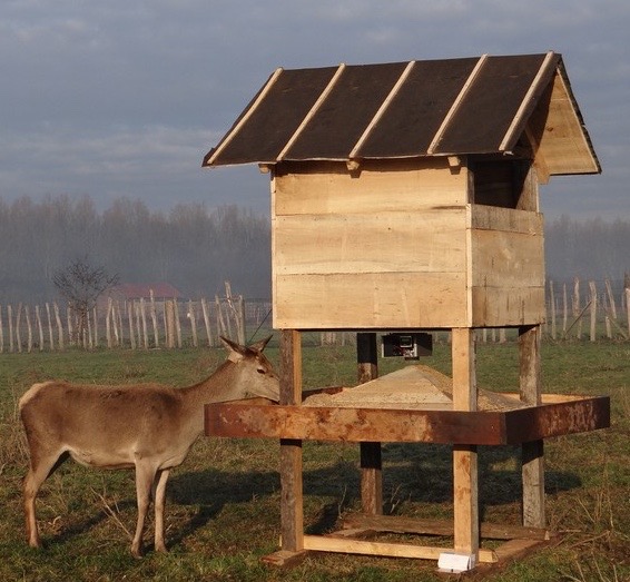 Set Futterautomat "XL DROP Luxus inkl. 12 V Akku für Jagd, Wildfütterung & Tierhaltung – Bild 3