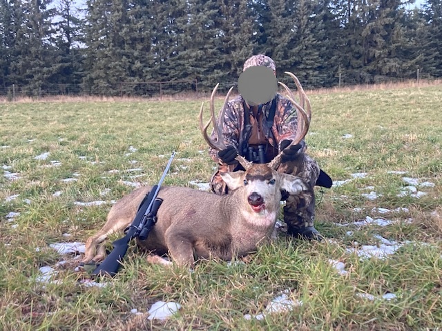 Für Bogen- & Gewehrjäger: Jagd auf Elche auf Farmland in Alberta – Bild 5
