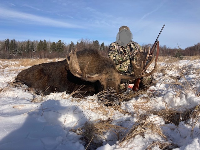 Für Bogen- & Gewehrjäger: Jagd auf Elche auf Farmland in Alberta – Bild 2