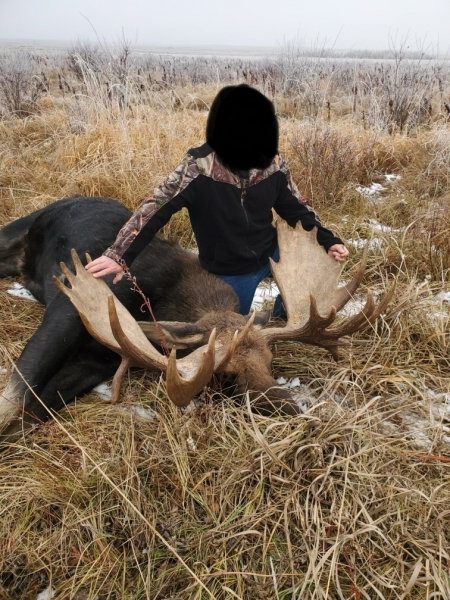 Für Bogen- & Gewehrjäger: Jagd auf Elche auf Farmland in Alberta – Bild 4