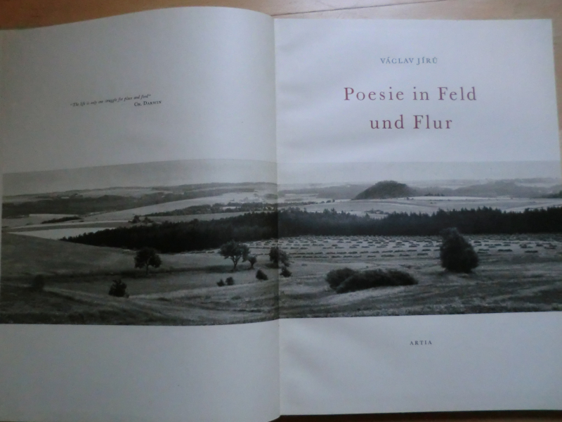 POESIE IN FELD UND FLUR – Bild 2