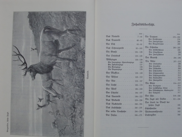 1922-1998 ERFAHRUNGEN AUF DEM GEBIETE DER HOHEN JAGD – Bild 2