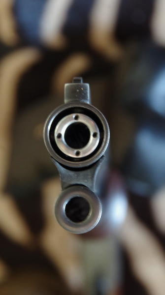Blaser 95 BBF / DB – Bild 5