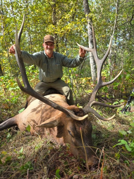 Jagd auf starke Wapiti-Hirsche (Elk) zur Brunft in Alberta/Kanada – Bild 2
