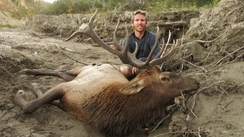 Jagd auf starke Wapiti-Hirsche (Elk) zur Brunft in Alberta/Kanada – Bild 5