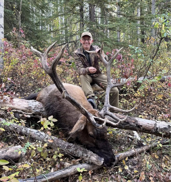 Jagd auf starke Wapiti-Hirsche (Elk) zur Brunft in Alberta/Kanada – Bild 6