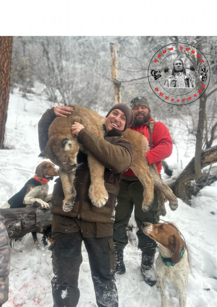 Puma-Jagd in Montana/USA – Bild 5