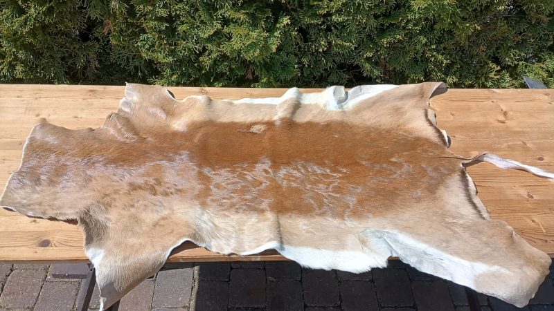 Impala-Decke zu verkaufen (neu) – kuva 2