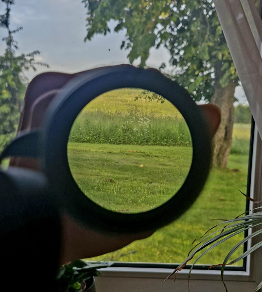 Excellent Meopta Meostar R1 1-4X22Rd (Swarovski, Docter, Vortex, Aimpoint) – Bild 5