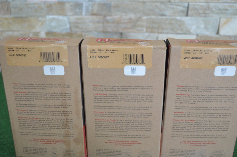 60 Schuss HORNADY MUNITION .458 WIN 500GR DGX HM – Bild 2