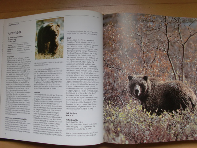 JAGD INTERNATIONAL – billede 2