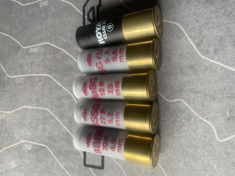 Konvolut Buckshot/Express Kaliber 12 – Bild 3