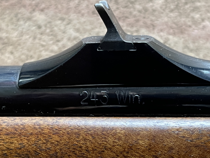 Steyr Mannlicher Luxus . 243 win mit Zeiss ZF – Bild 3